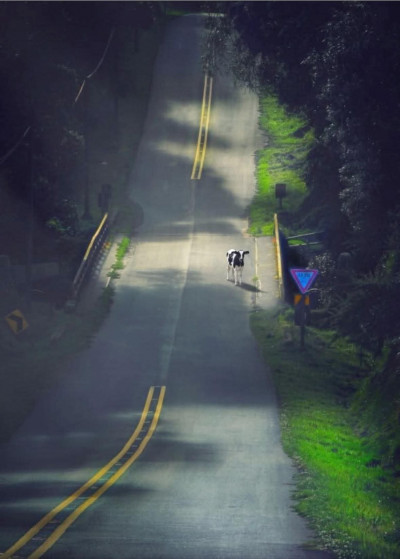 Paso por Turrialba con paso regulado