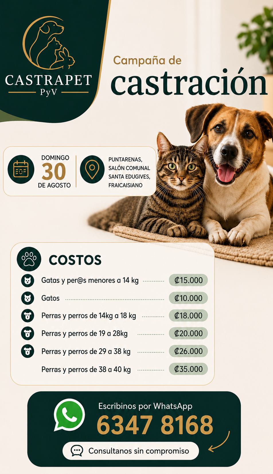 Castra Pet 1