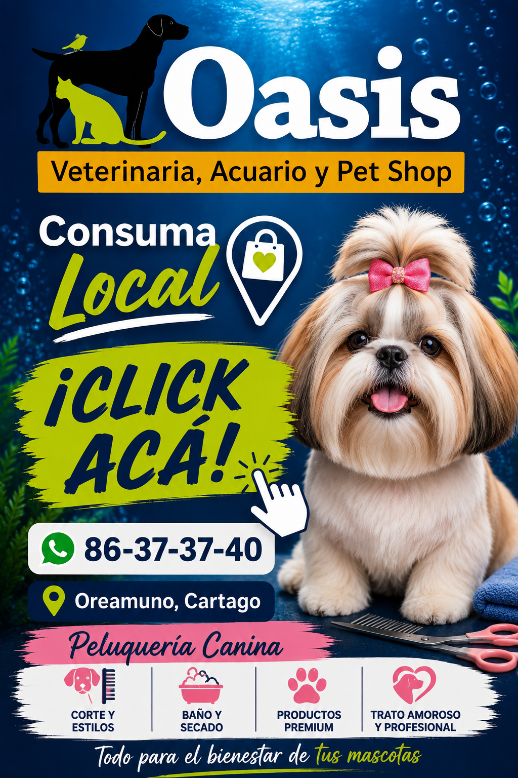 Veterinaria Oasis 3