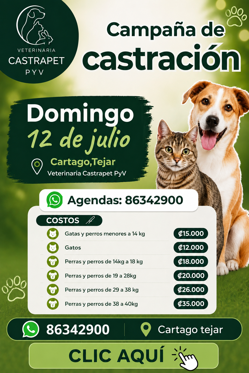 Castra Pet 2