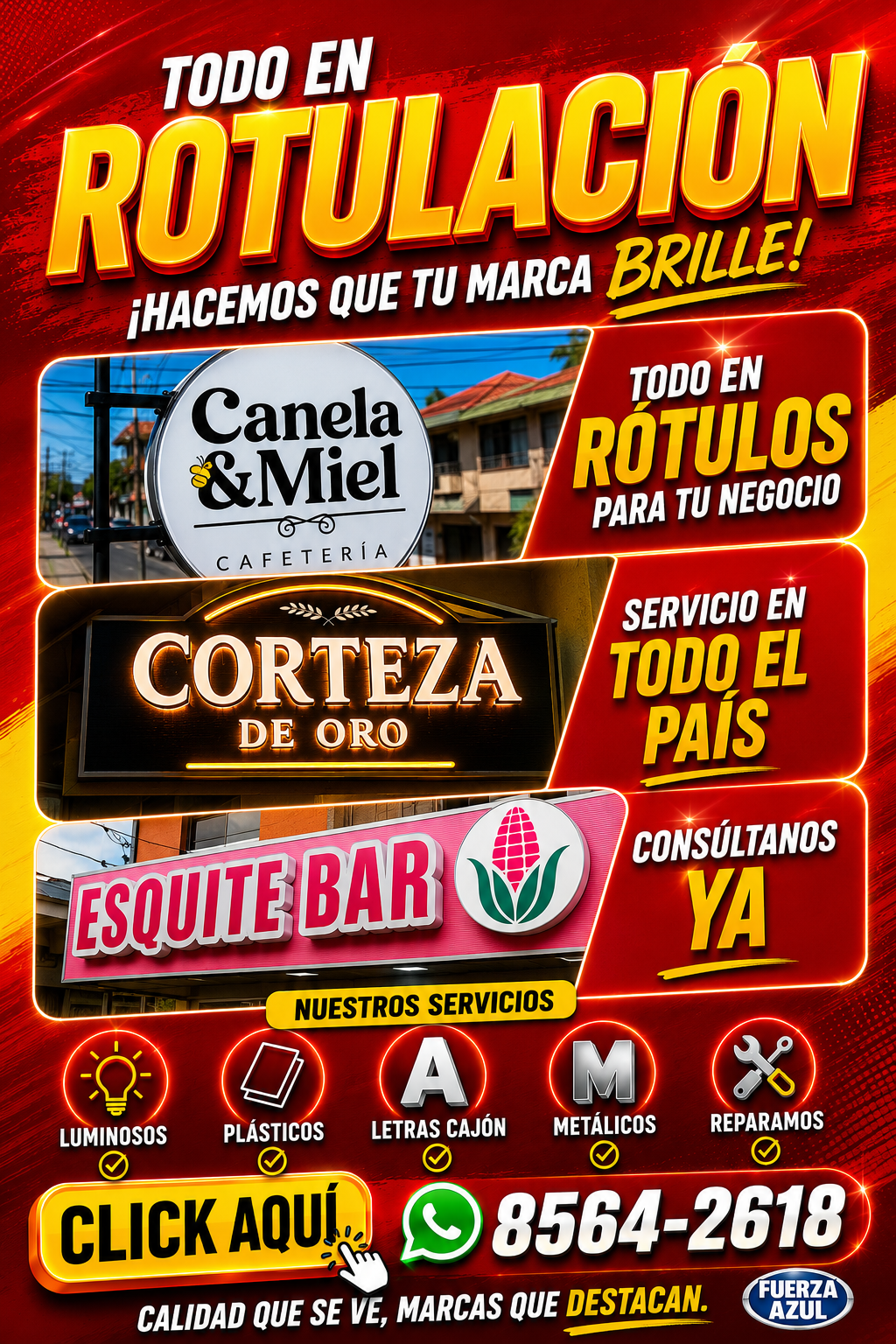 Rotulos 13