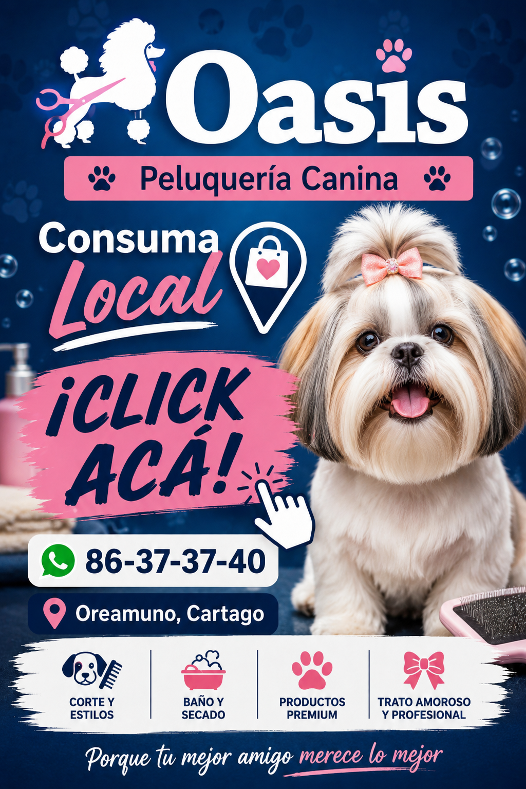 Veterinaria Oasis 2