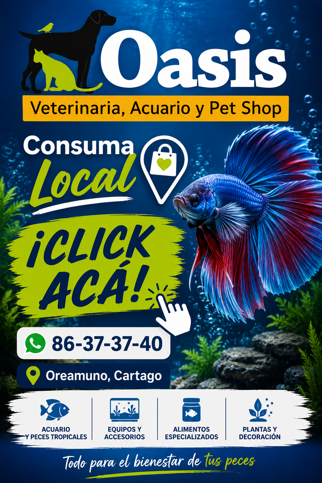 Veterinaria Oasis 
