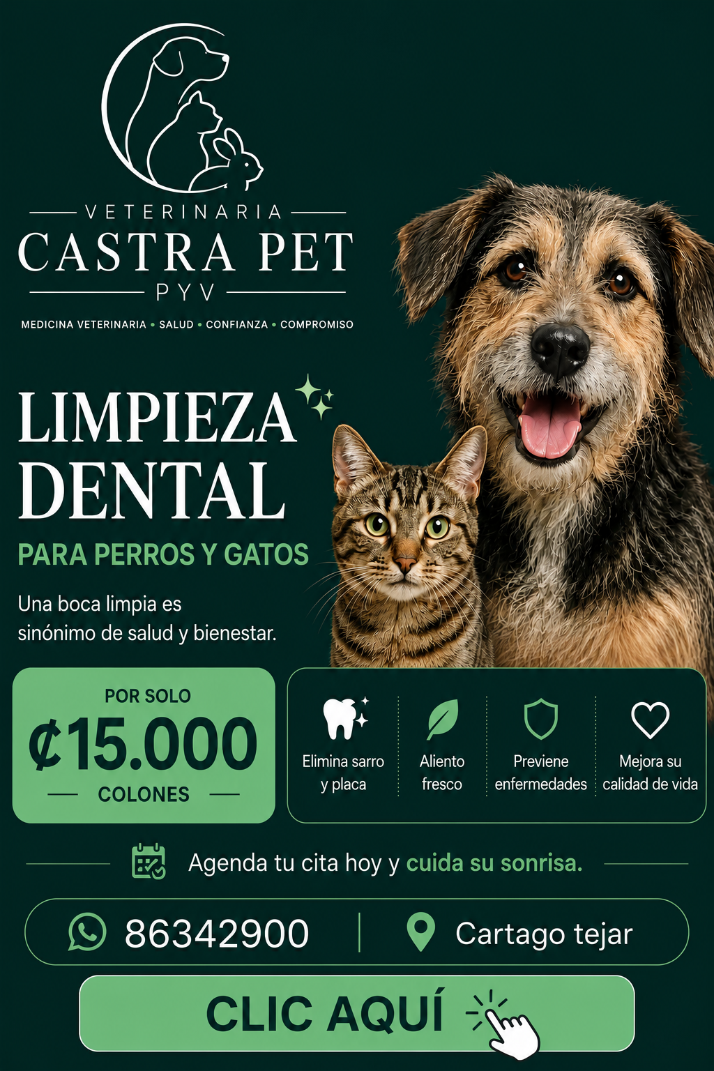 Castra Pet 1