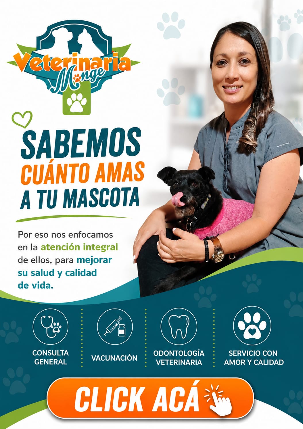 Veterinaria Monge