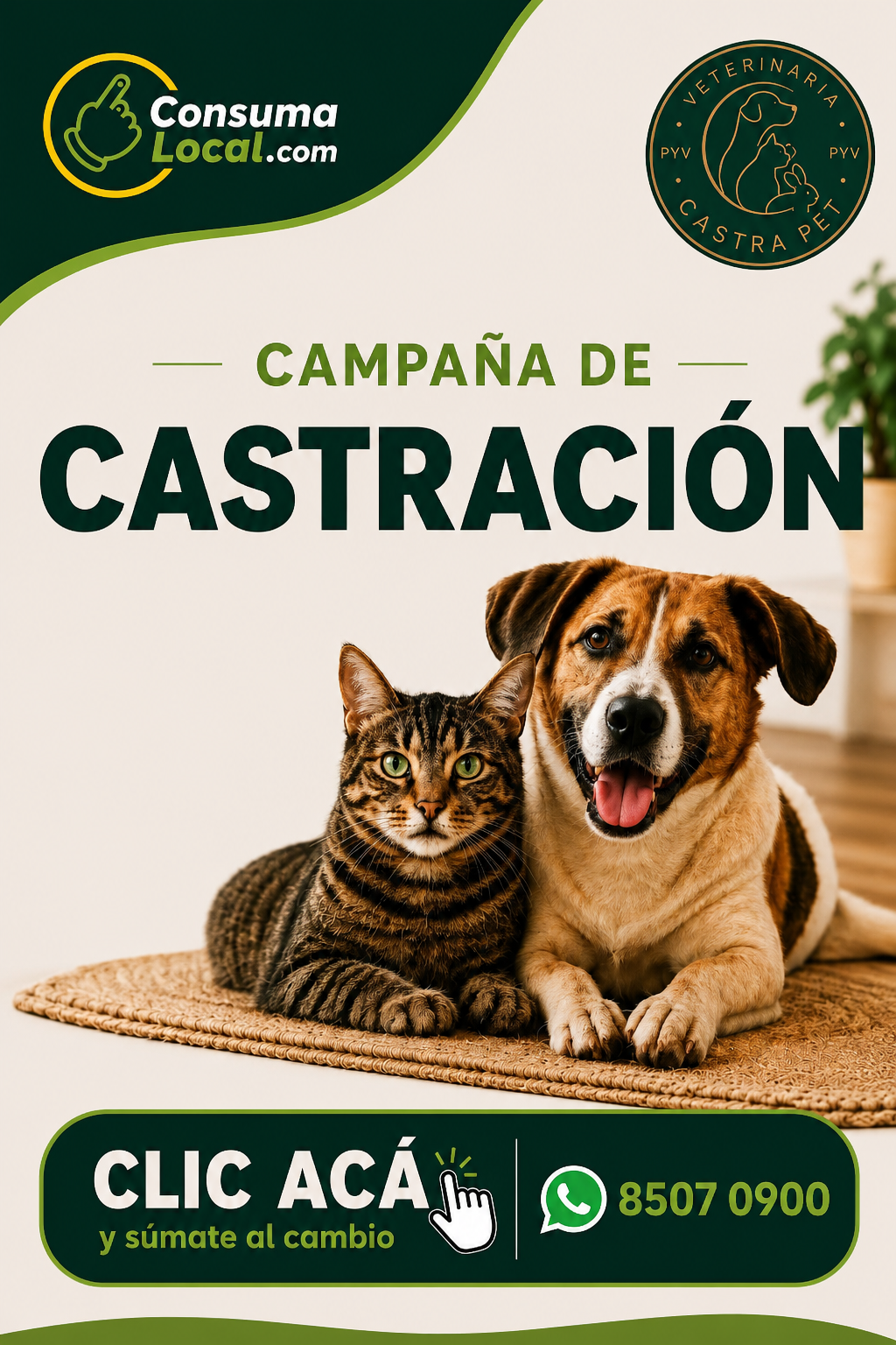 Castra Pet 2