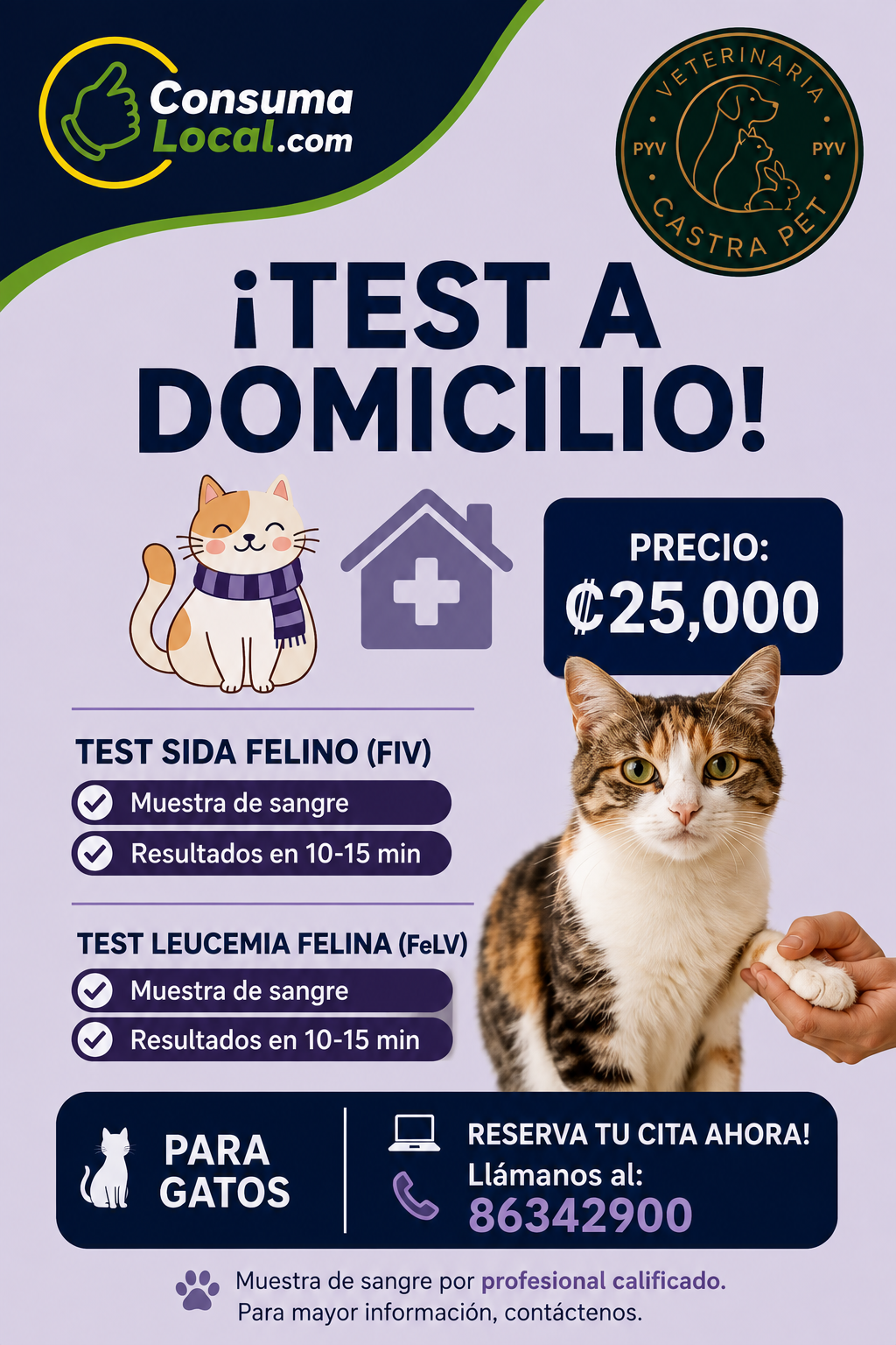 Castra Pet 1